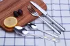 SA-5084 Stainless steel cutlery set