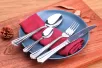 SA-5085 Stainless steel cutlery set