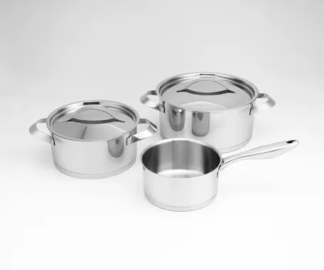 Modern Stainless Steel Cookware Set
